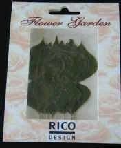 Bl�tter gro�, gr�n